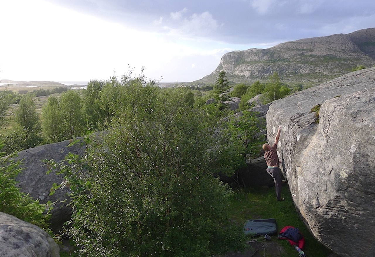 Steinar Holden prøver seg på Hurtigruta (7A) på Harbak. Foto: Kjetil Grimsæth Steinar Holden prøver seg på Hurtigruta (7A) på Harbak. Foto: Kjetil Grimsæth