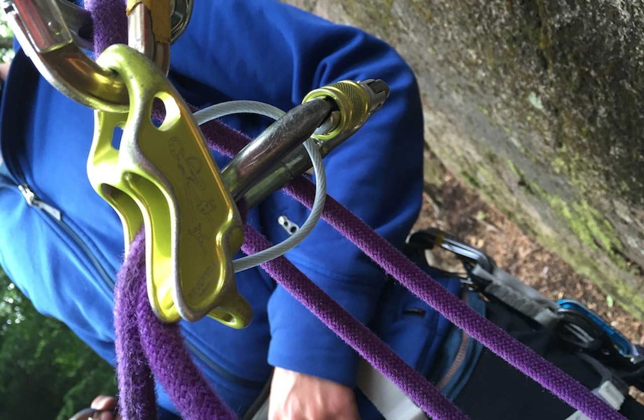 Aktiv: Taubrems i guide-modus. Foto: Nikolai Kolstad Aktiv: Taubrems i guide-modus. Foto: Nikolai Kolstad