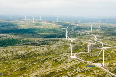 Frøya vindpark består av vindturbiner i til nå urørt natur. Vindkraft bidrar bare neglisjerbart i klimasammenheng, men ødelegger uerstattelig natur og dreper store mengder fugler. Foto: Hitra-frøya.no