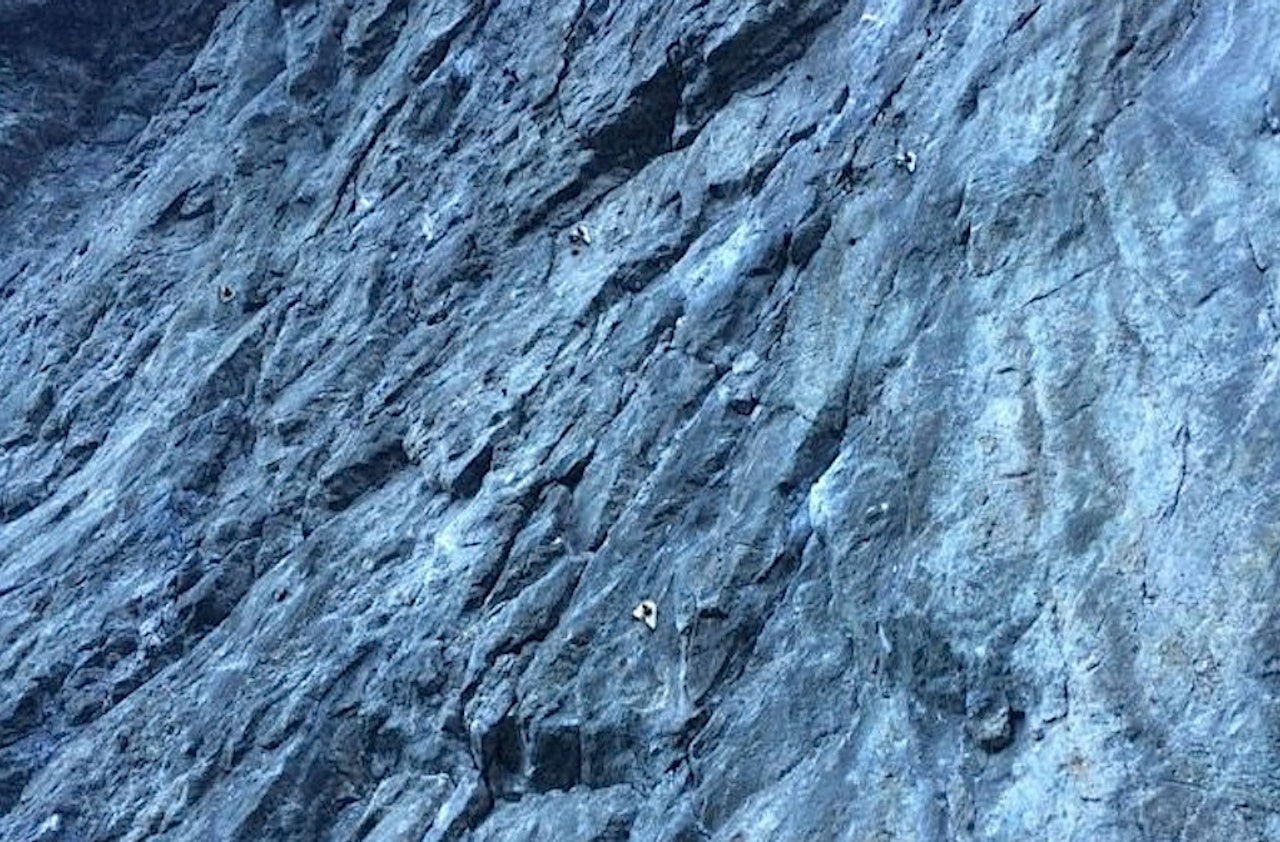 Hvem skal skifte ut gamle, rustne bolter? Her fra Korsvika ved Trondheim. Foto: Grete Ulvesli Hvem skal skifte ut gamle, rustne bolter? Her fra Korsvika ved Trondheim. Foto: Grete Ulvesli