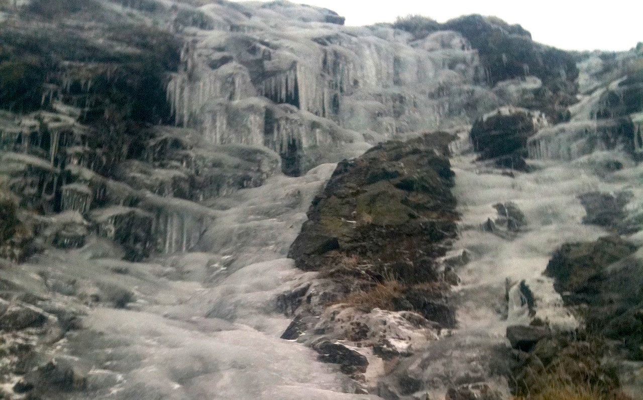 Kringlestølbekken i oktober 2012. Foto: Erik Enitch Kringlestølbekken i oktober 2012. Foto: Erik Enitch