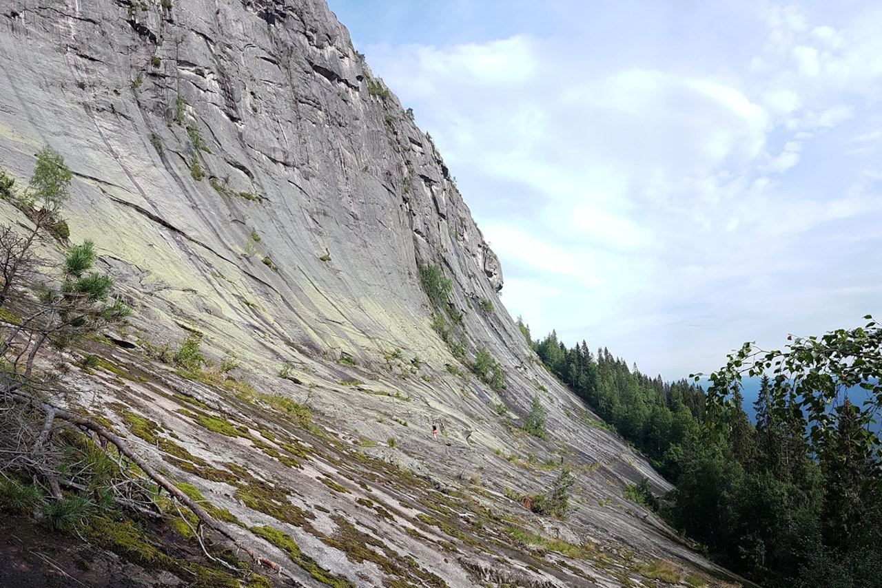 TRUES AV PROFITTJEGERE: Andersnatten i Eggedal. Foto: Emil Faugli TRUES AV PROFITTJEGERE: Andersnatten i Eggedal. Foto: Emil Faugli