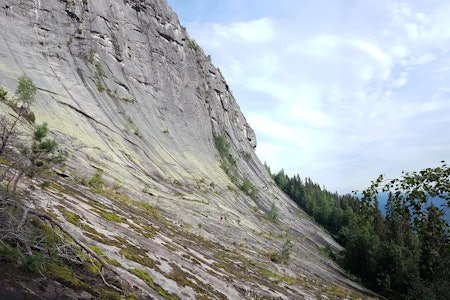 TRUES AV PROFITTJEGERE: Andersnatten i Eggedal. Foto: Emil Faugli TRUES AV PROFITTJEGERE: Andersnatten i Eggedal. Foto: Emil Faugli