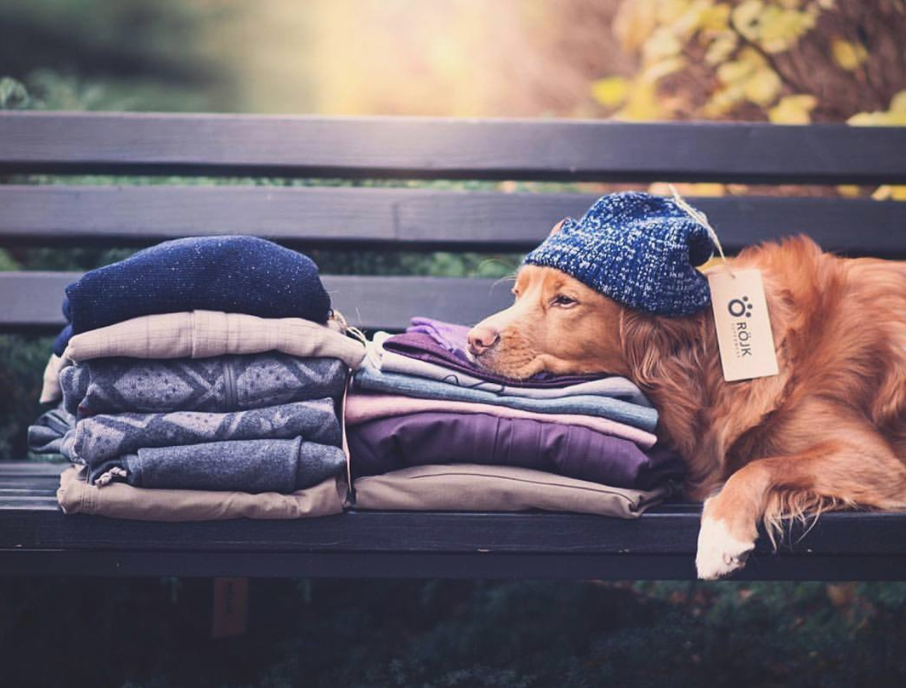 Dyrt liv: Naturen er det viktig å ta vare på. Her et lite utvalg av Röyks varelager. Dyrt liv: Naturen er det viktig å ta vare på. Her et lite utvalg av Röyks varelager.