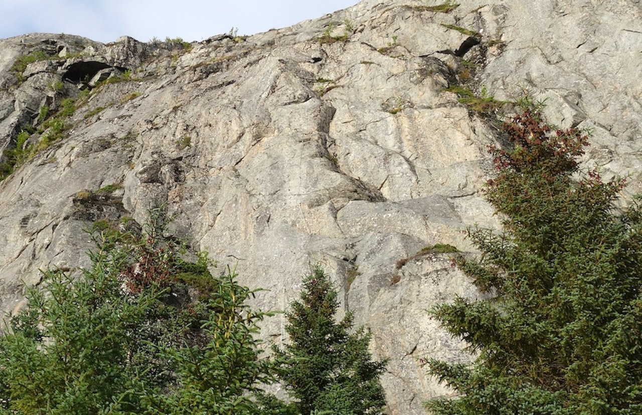 Ser du den? Opp den veggen går det en via ferrata. Klippen ligger ved Strøm gård på Flatanger. Foto: Dag Hagen Ser du den? Opp den veggen går det en via ferrata. Klippen ligger ved Strøm gård på Flatanger. Foto: Dag Hagen