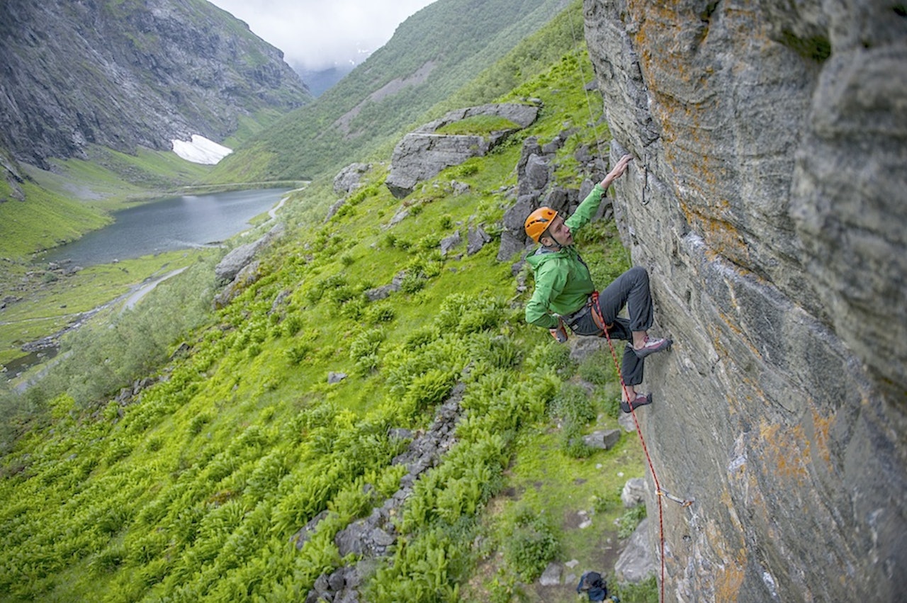 Vårkåt. Foto: Olav Standal Tangen Vårkåt. Foto: Olav Standal Tangen