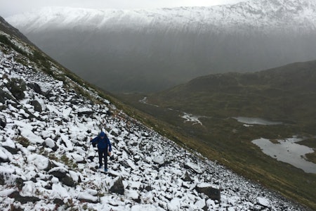 På rundt 800 moh, der de møtte på snøen. Foto: Andreas Strand Helland