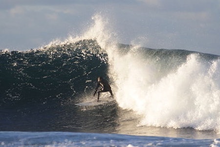 Foto: Pål Rype Foto: Pål Rype