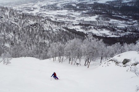 Godt driv ned mot skogskøyringsparadiset. Foto: Brynjar Åmot Godt driv ned mot skogskøyringsparadiset. Foto: Brynjar Åmot