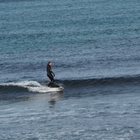 Ukjent surfer, Ervika
