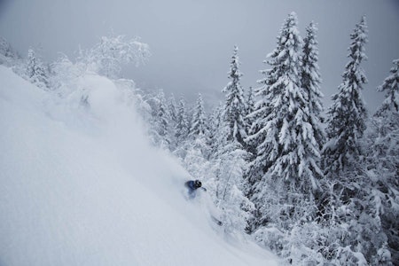 PUDDERGLENNER: Sondre Dan Lindkjølen setter spor etter seg. PUDDERGLENNER: Sondre Dan Lindkjølen setter spor etter seg.