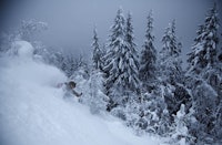DJUPT: Knut Erik Ringnes svinger skiene ovenfor den tetteste skogen. DJUPT: Knut Erik Ringnes svinger skiene ovenfor den tetteste skogen.