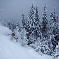 DJUPT: Knut Erik Ringnes svinger skiene ovenfor den tetteste skogen.