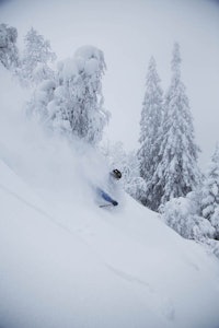 TRE OG SNØ: Sondre Dan Lindkjølen tar fart gjennom det myke før han setter seg i bilen til Kongsberg for å nå farens 60-års dag. TRE OG SNØ: Sondre Dan Lindkjølen tar fart gjennom det myke før han setter seg i bilen til Kongsberg for å nå farens 60-års dag.