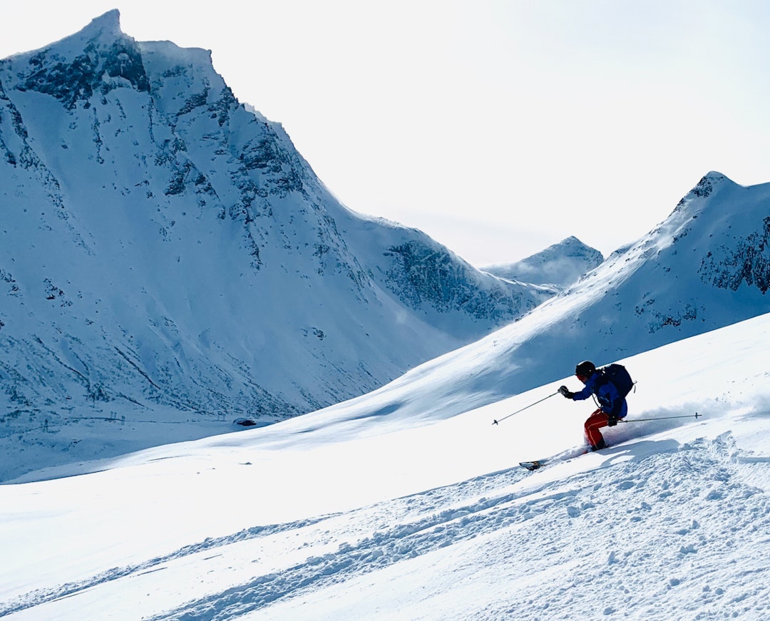 STORHESTEN: En fin tur for nybegynnere. Foto: Corey Proulx Storhesten