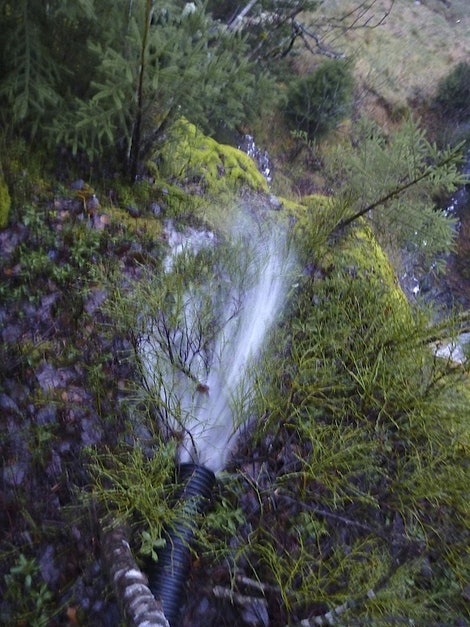 is vanning1 is vanning1