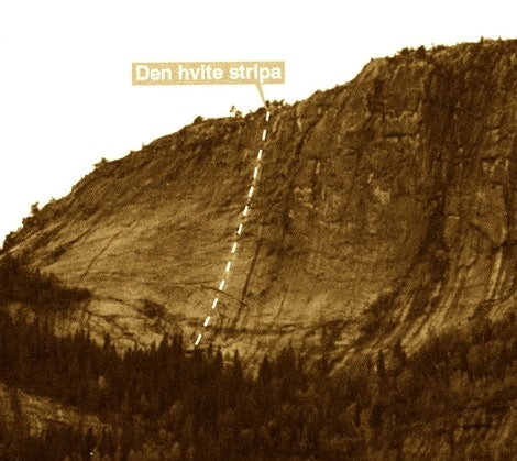 andersnatten-hvite stipa andersnatten-hvite stipa