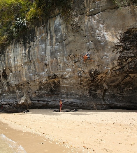 jarlecara2 jarlecara2