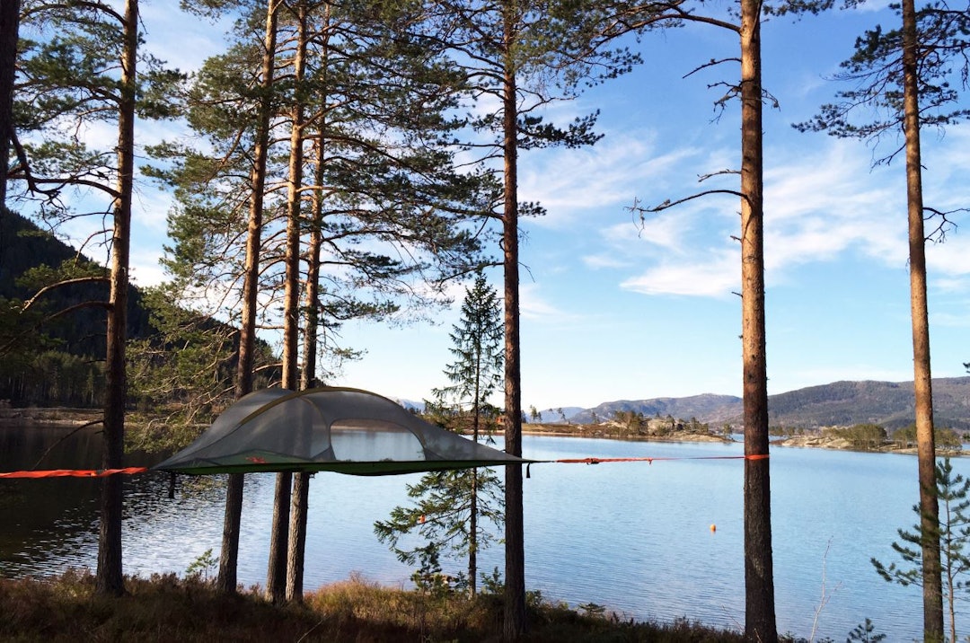 Tarp_Nissedal Tarp_Nissedal