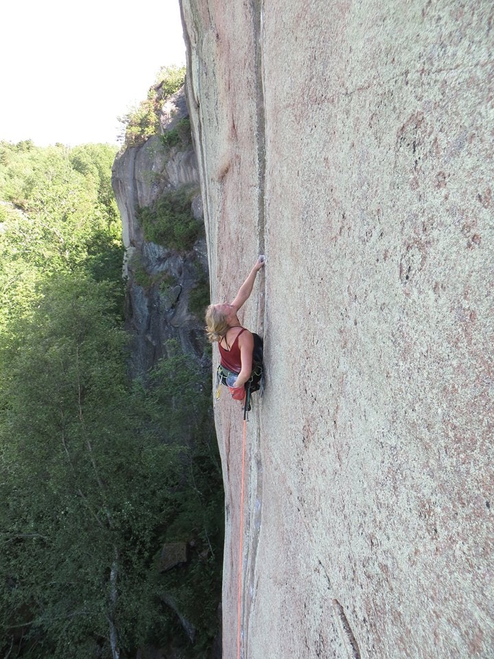 paula electric paula electric