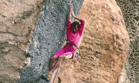 andrea gallo hyena andrea gallo hyena