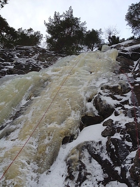 is hauktern is hauktern