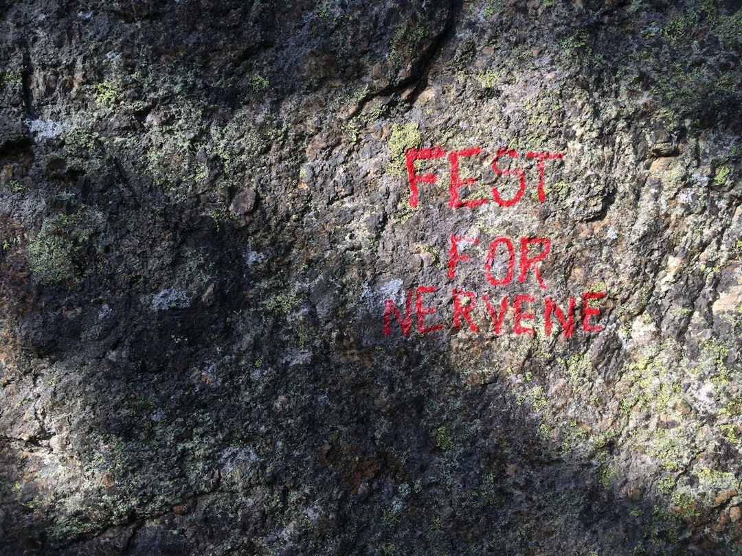 Navn på vegg: Fest for nervene (7/7+). Foto: Jon Egil Auestad Daleintegralen-Jon-Egil-Auestad-7