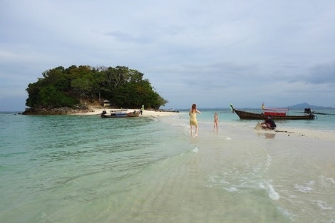 chicken island chicken island