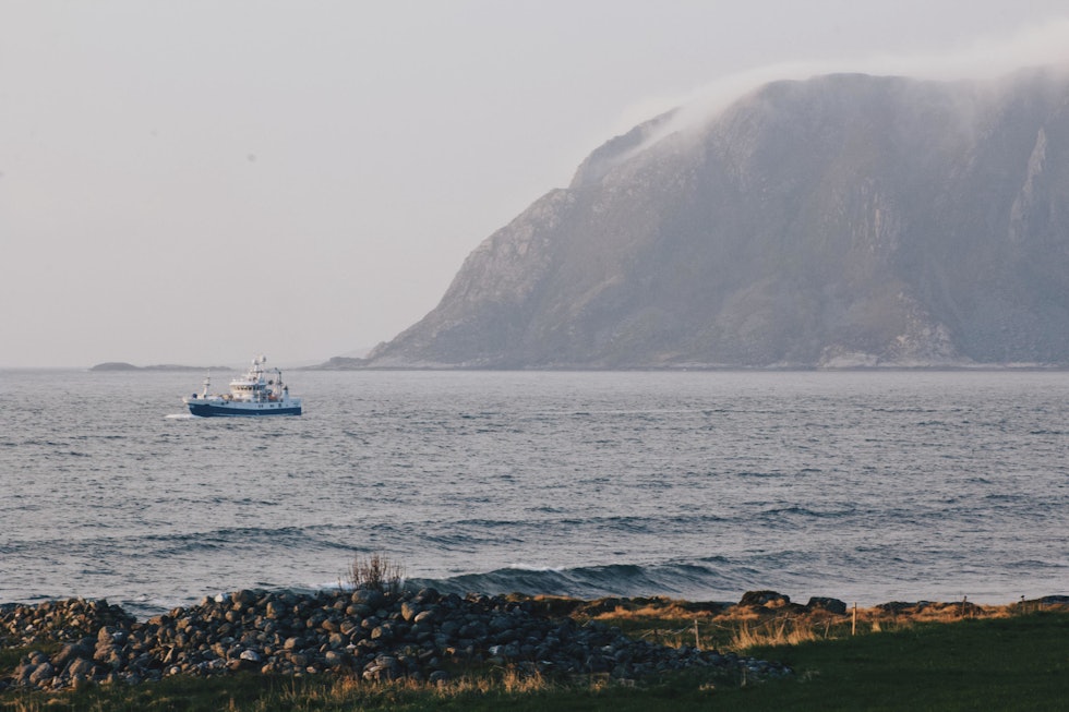 UTSIKTEN. Fiskebåtene som fyker forbi er en del av stemningen. Foto. Sunniva Sørheim