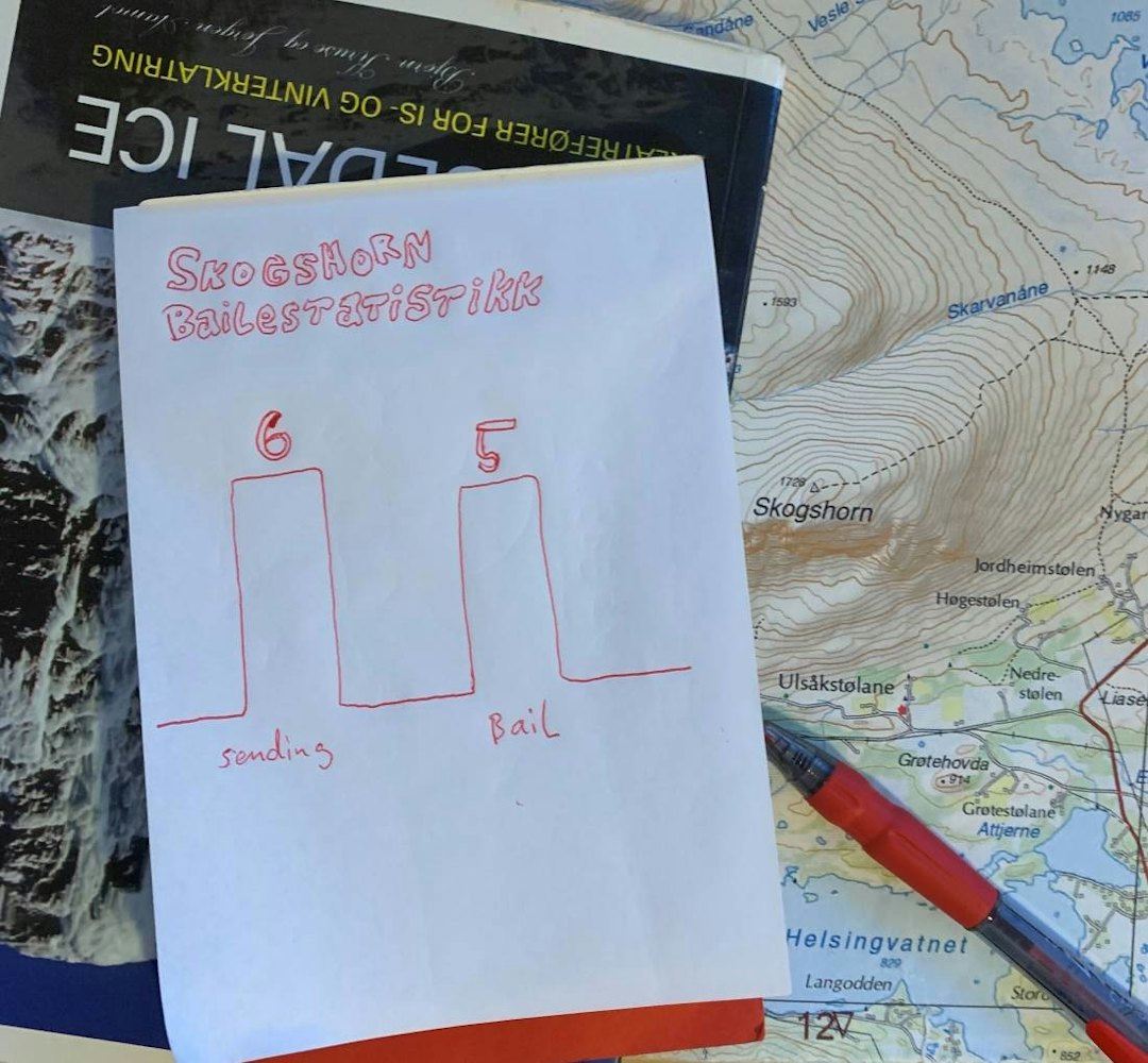 Bailestatistikk bailestatistikk