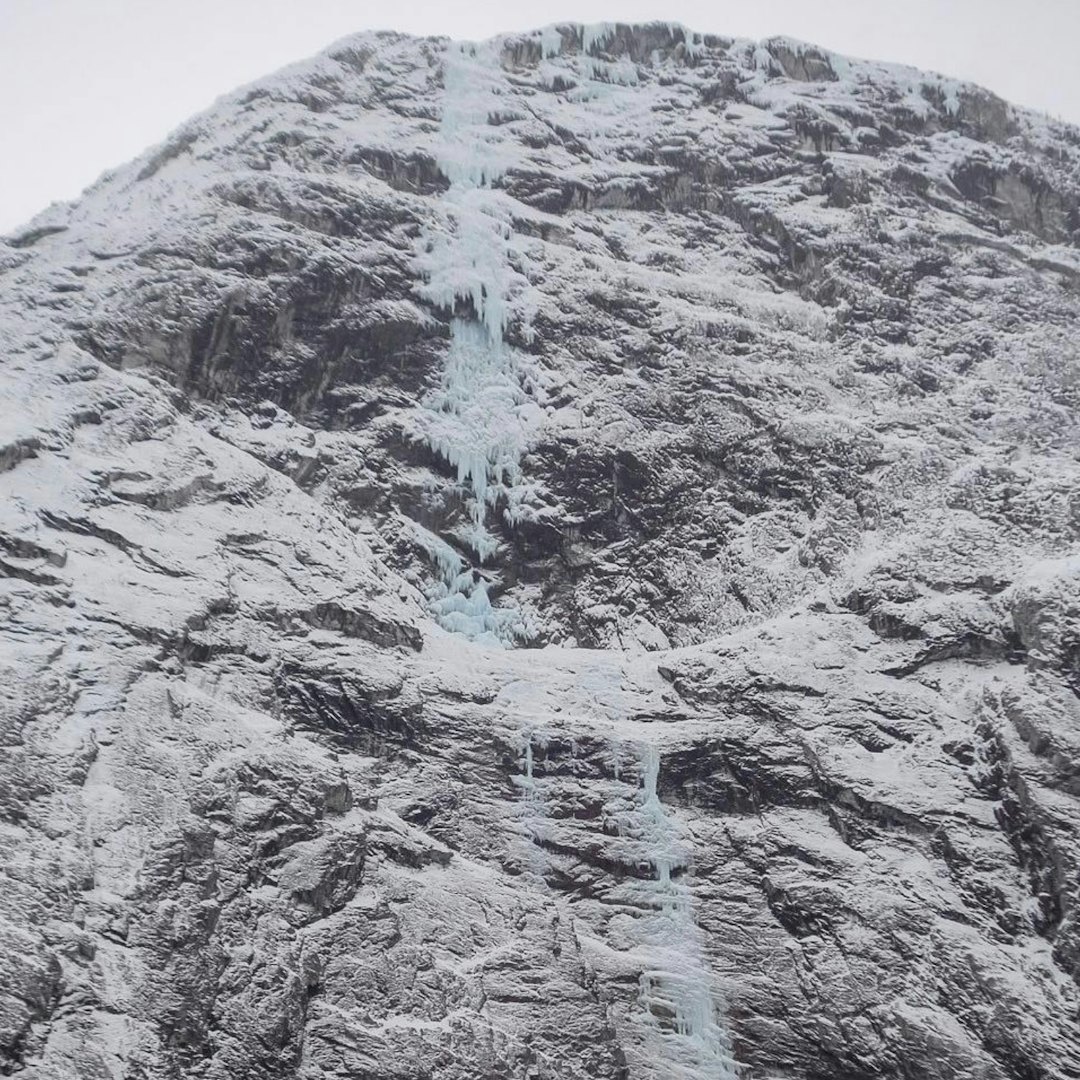 fosslimonster fosslimonster