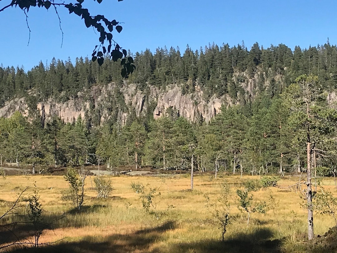 Dette er vestlige del av Tverråsen, med totalt 8 etablerte ruter på en vegg med diverse hundre meter med bratt og fin klippe og utallige muligheter for nye ruter på alle nivå. Kun en times gåtur fra Landfalltjern-parkeringen i Drammen og rett bak vannet og turistforeningens hytte Goliaten. Foto: Geir Arne Bore IMG_5033