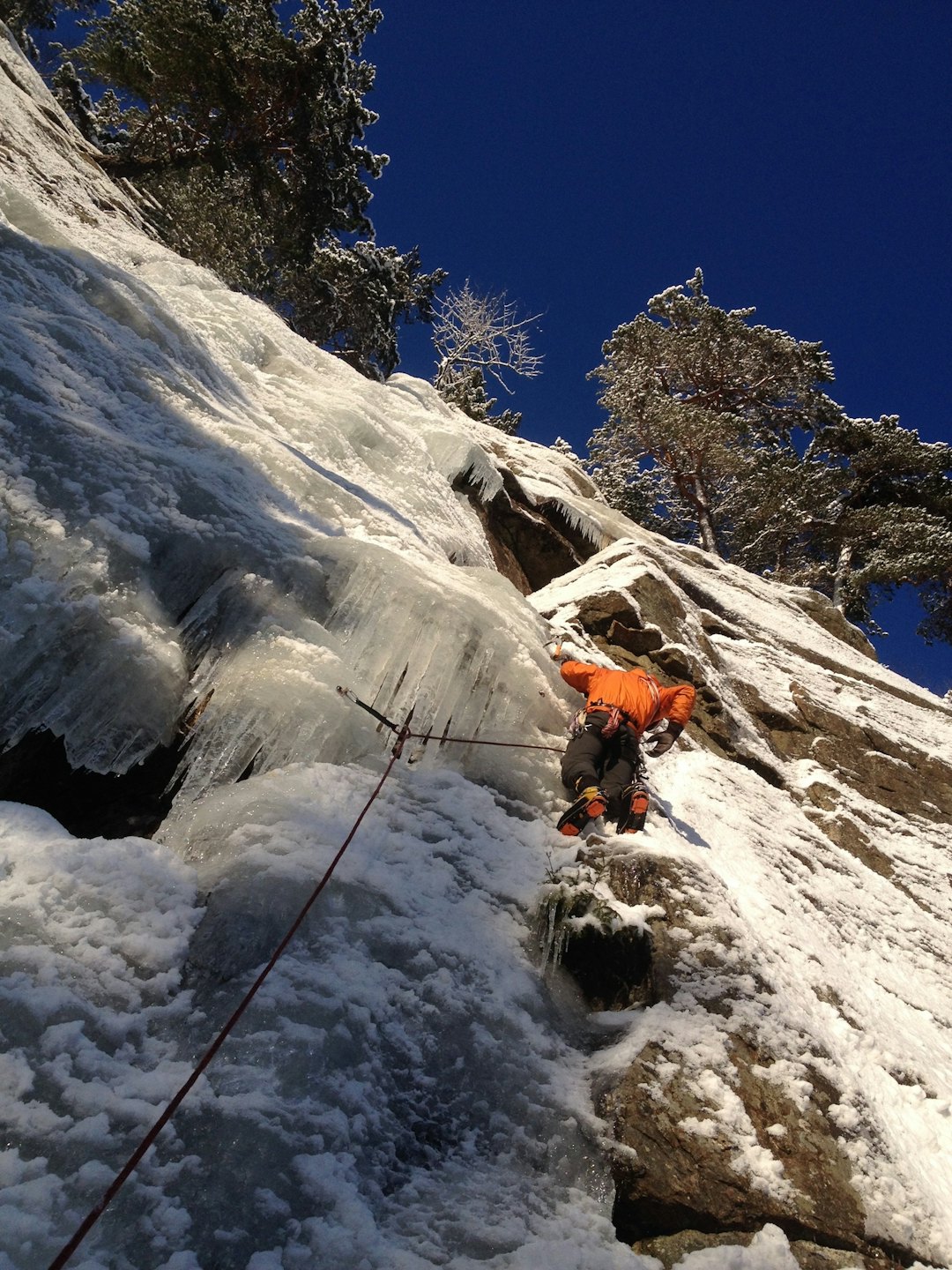 hauktjernis hauktjernis
