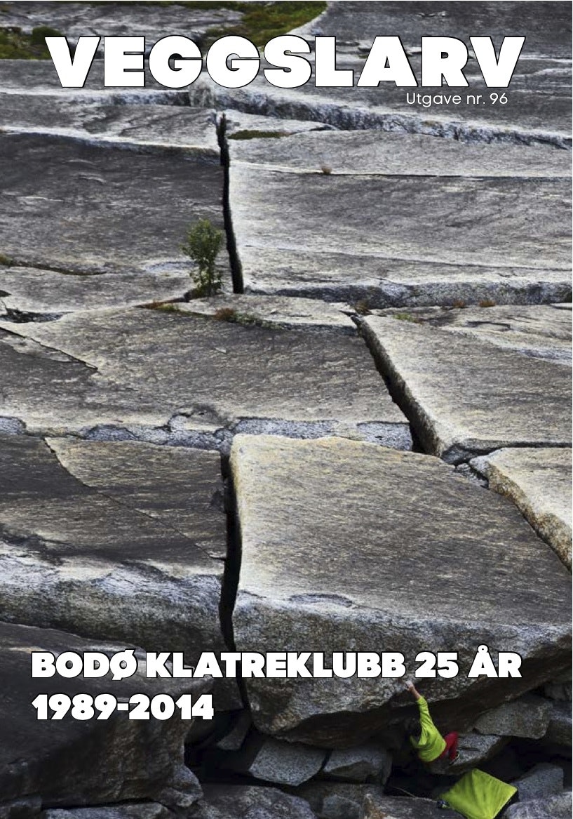 veggslarv 96 veggslarv 96