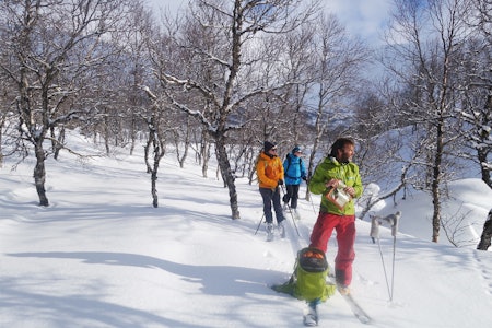 ENKLE TURER: Marit Rolvsfjord (t.v.), Linn Cecile Mæhlum og Sigurd Felde på tur. Bilde brukt som illustrasjon. Foto: Erlend Sande Topptur Trygge enkle toppturer sogn