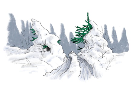 SKOGSLØYPE: Det var veldig oppklarende for den østlandsbaserte delen av redaksjonen å forstå at de vi kaller skogsløyper, kaller sørvestlendingene skitråkk. Illustrasjon: Didrik Magnus-Andresen SKOGSLØYPE: Det var veldig oppklarende for den østlandsbaserte delen av redaksjonen å forstå at de vi kaller skogsløyper, kaller sørvestlendingene skitråkk. Illustrasjon: Didrik Magnus-Andresen