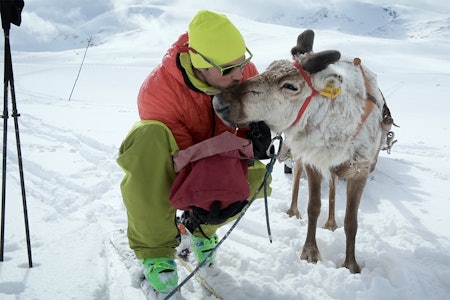 NY FILM: Se den nyeste filmen med Dennis Risvoll og Johan Wildhagen. Foto: Skjermdump Dennis Risvoll