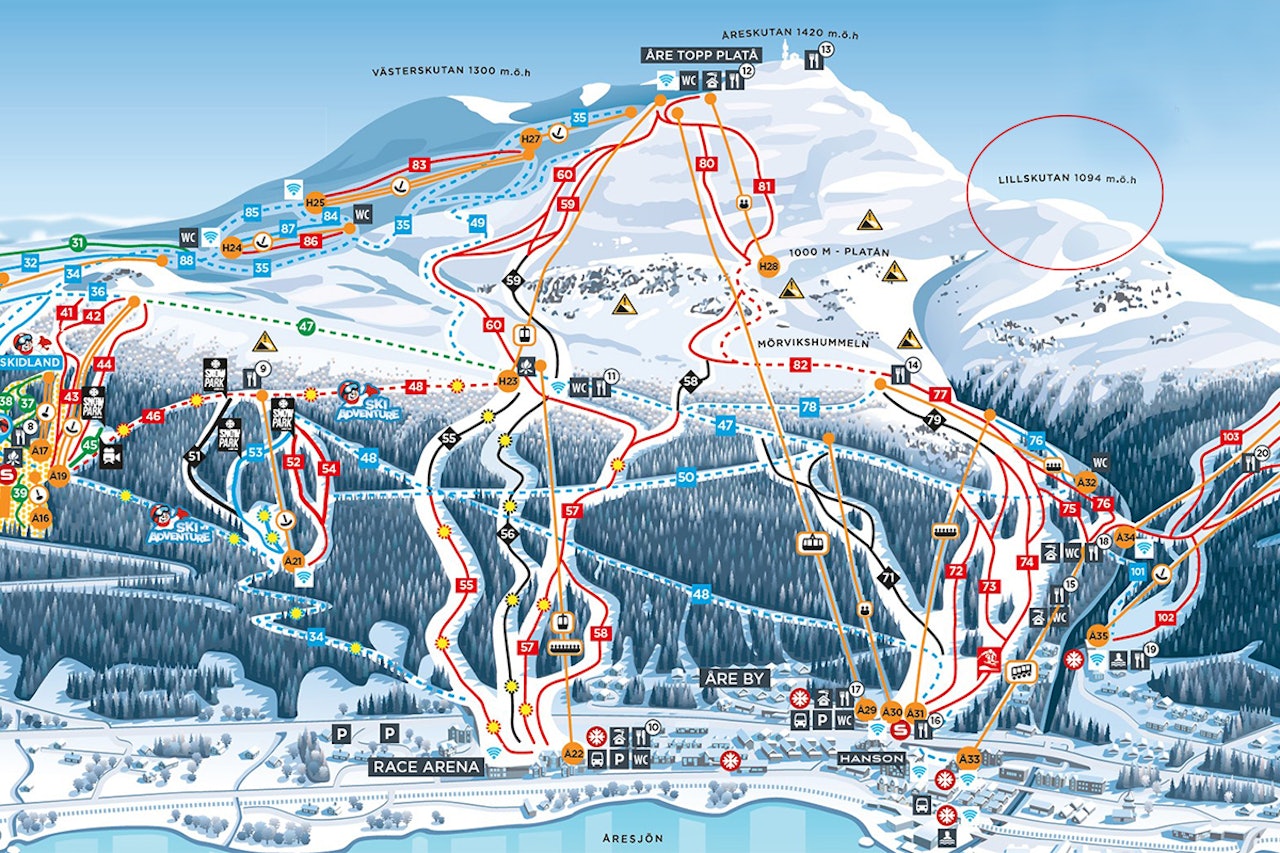 SNØSKRED: Det var i dette området snøskredet gikk. Foto: Åre Åre snøskred