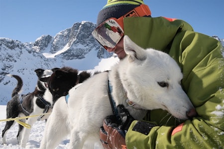 MED HUNDER: Dennis Risvoll bruker hunder som transport i Jotunheimen. Foto: Skjermdump Dennis Risvoll