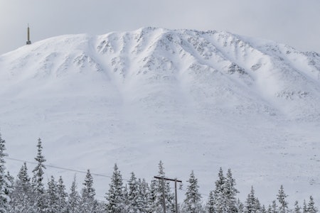 Gaustatoppen fri flyt topptur guide ski skisenter