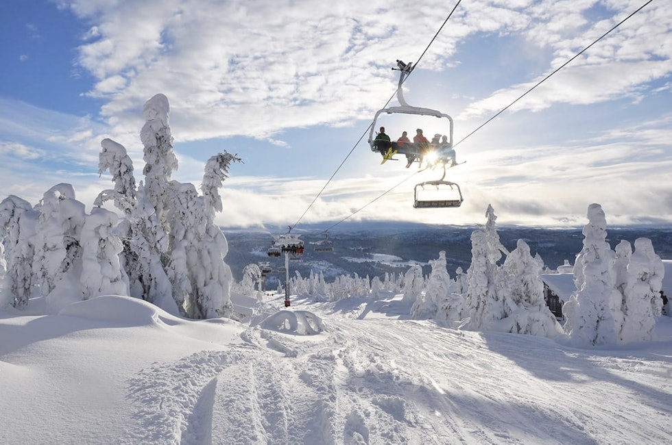 Det store anlegget på Kvitfjell tilgjengeliggjør skikjøring i flere himmelretninger. Foto: Alpinco FOREBYGGE SKADER: – God planlegging av fallsoner, krysningspunkter, hengkanter og lignende er gjerne andre områder som er viktige for å forebygge skade, sier kommunikasjonsansvarlig i Alpinco, Veslemøy Eineteig Wedum. Foto: Alpinco
