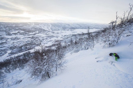 Geilo ski kjøring freeride guide fri flyt snowboard alpint 