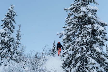 Cruising, åpen skog og morsomt terreng er stikkordene for østlandets nye pudderhull. Høgevarde fjellpark fri flyt ski snowboard freeride skiinfo guide anlegg ski alpint