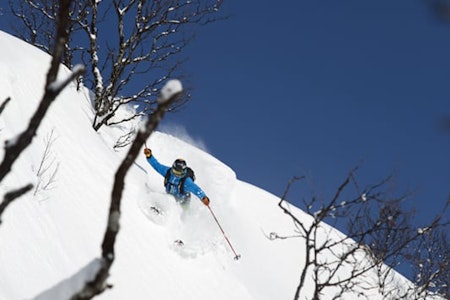 Målselv fjellandsby freeride ski info