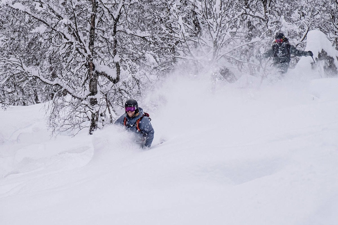 Hodlekveskogen og Rindabotnen får Sogndal skisenter til å gå rundt. Bildet er en erketypisk pudderdag i Sogndal. Foto: Bård Gundersen Sogndal skisenter pudder frikjøring freeride fri flyt