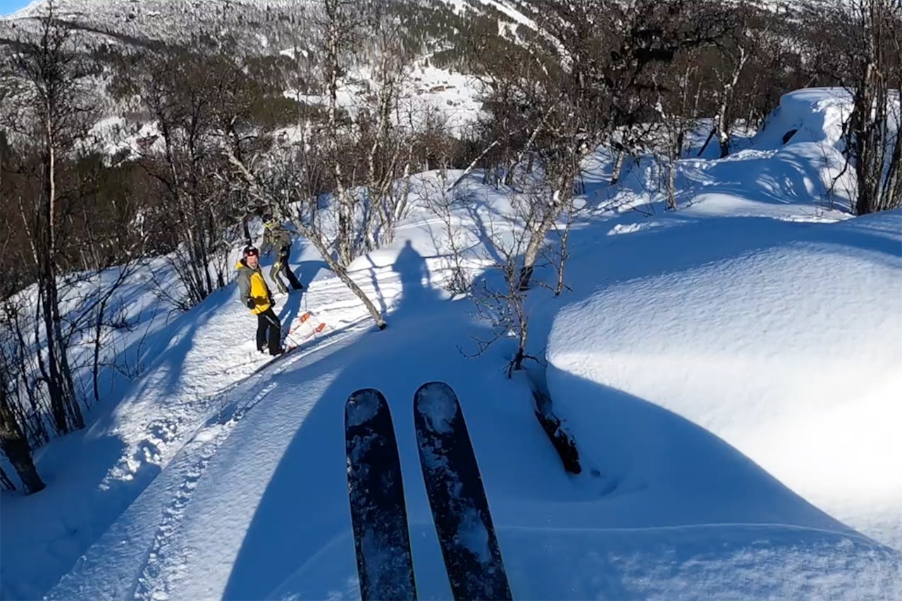 SKOGEN: Anders Backe fikk testet skogskjøringen i Uvdal. Foto: Lars Fidjestøl/Anders Backe Uvdal