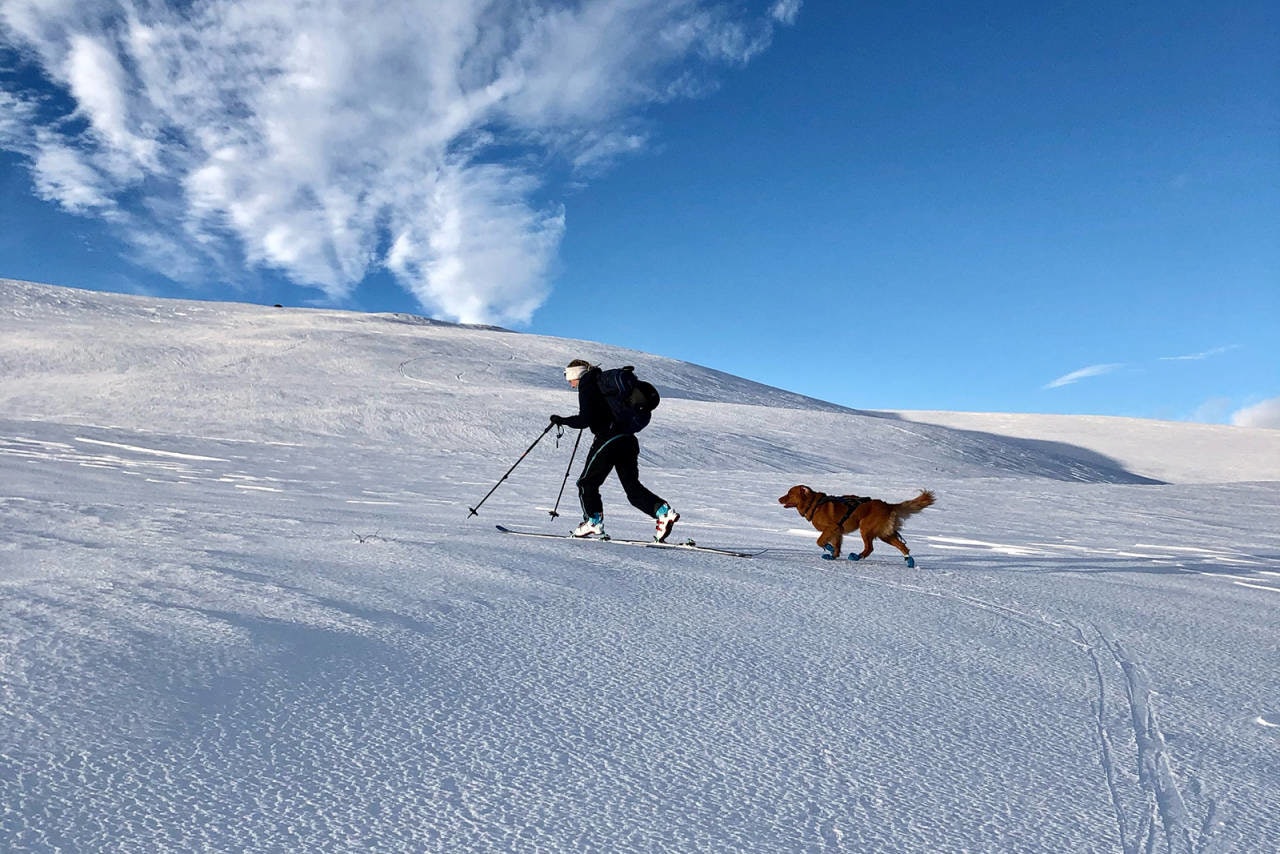 HELGEN: Slik så det ut inn mot Skarveheimen forrige helg. Foto: Cecilie Hagerup Birkelid Helgebildet
