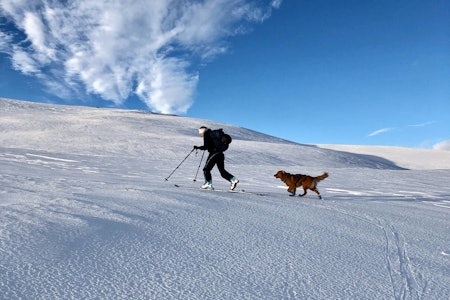 HELGEN: Slik så det ut inn mot Skarveheimen forrige helg. Foto: Cecilie Hagerup Birkelid Helgebildet