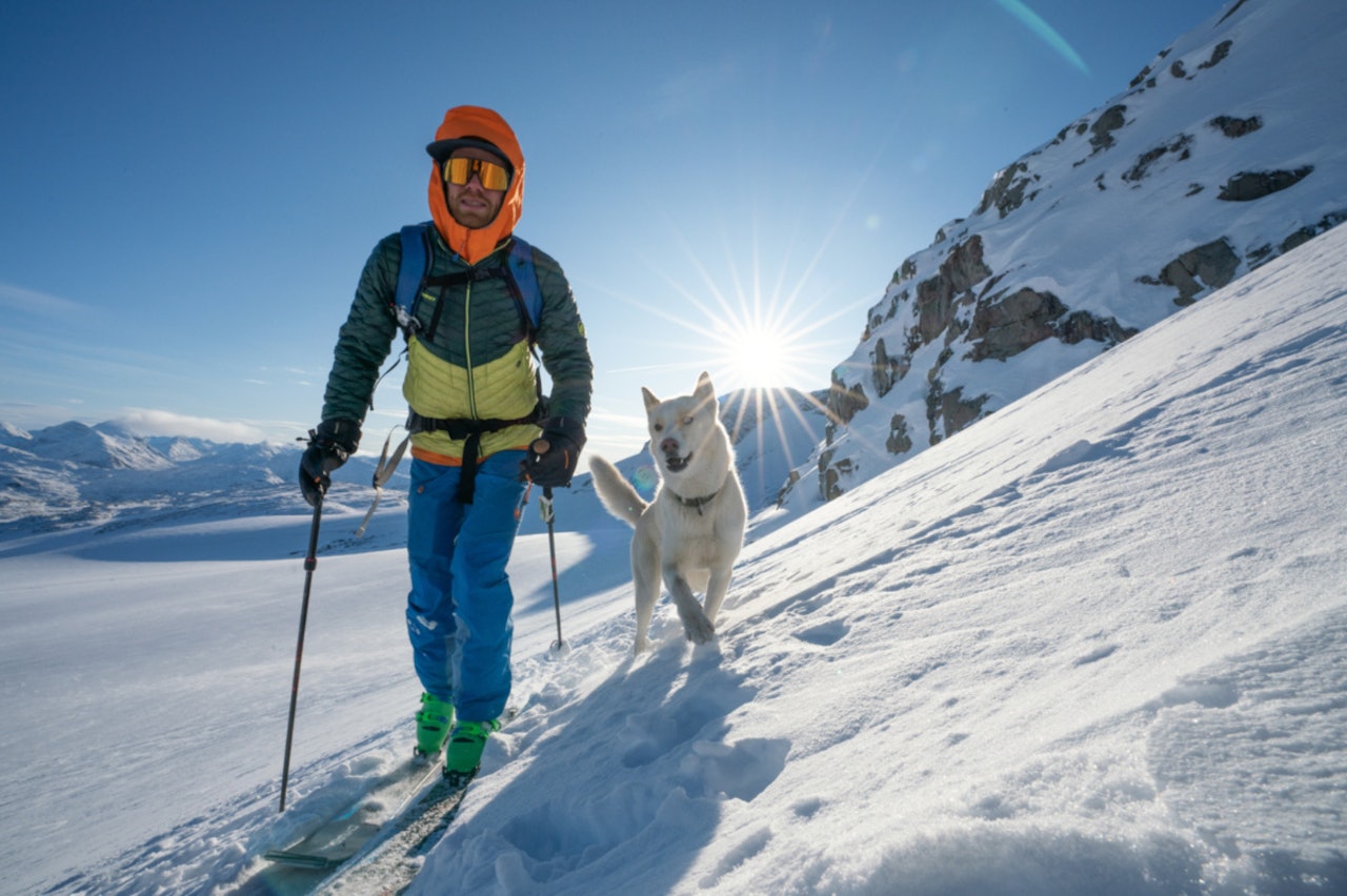 PÅ VEI OPP: Martin Andersen og hunden Sjogg på vei opp Steindalsnosi tirsdag denne uken. Foto: Martin Andersen PÅ VEI OPP: Martin Andersen og hunden Sjogg på vei opp Steindalsnosi tirsdag denne uken. Foto: Martin Andersen