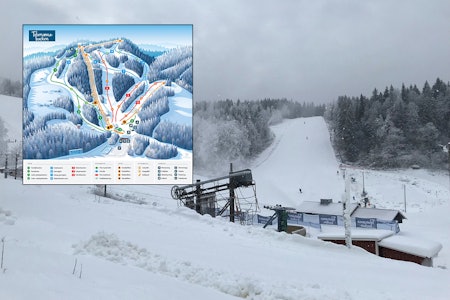 TIL SALGS: Ikke lagt planer for vinteren? Nå kan du kjøpe dette skianlegget i Sverige. Foto: Tolvmannabacken Tolvmannabacken